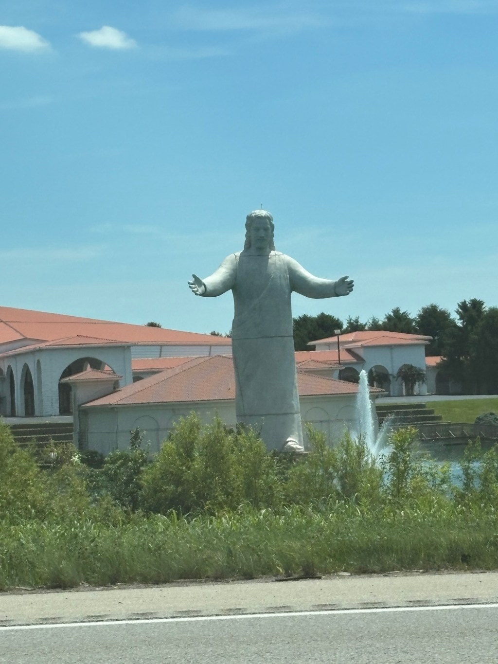 Amorica: Land of the Tree pt1